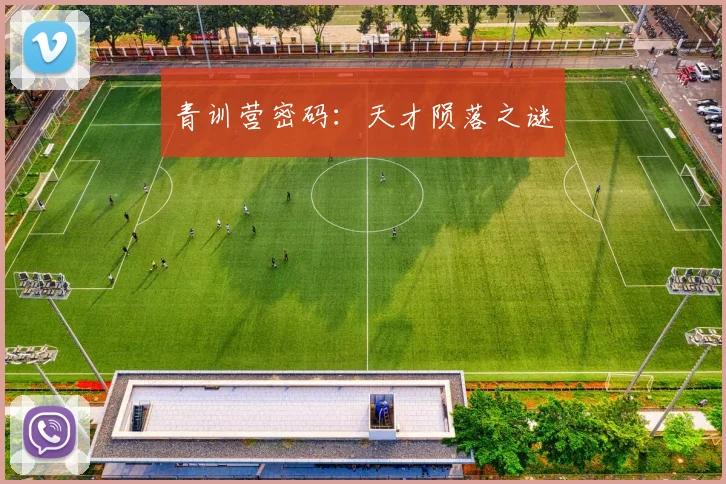 青训营密码：天才陨落之谜